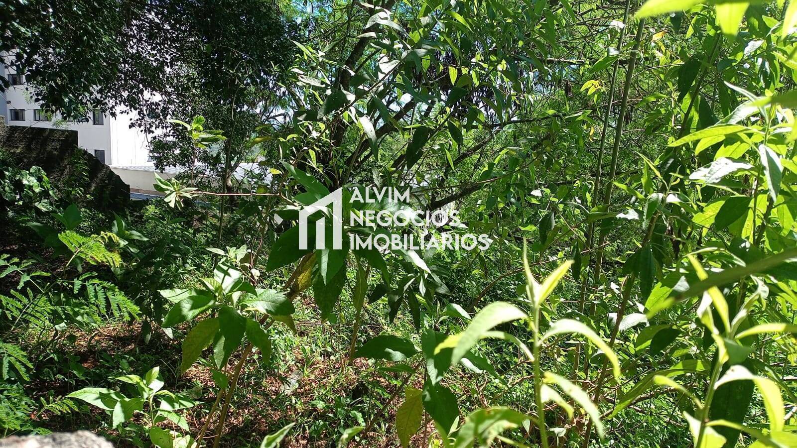 Terreno, 685 m² - Foto 20