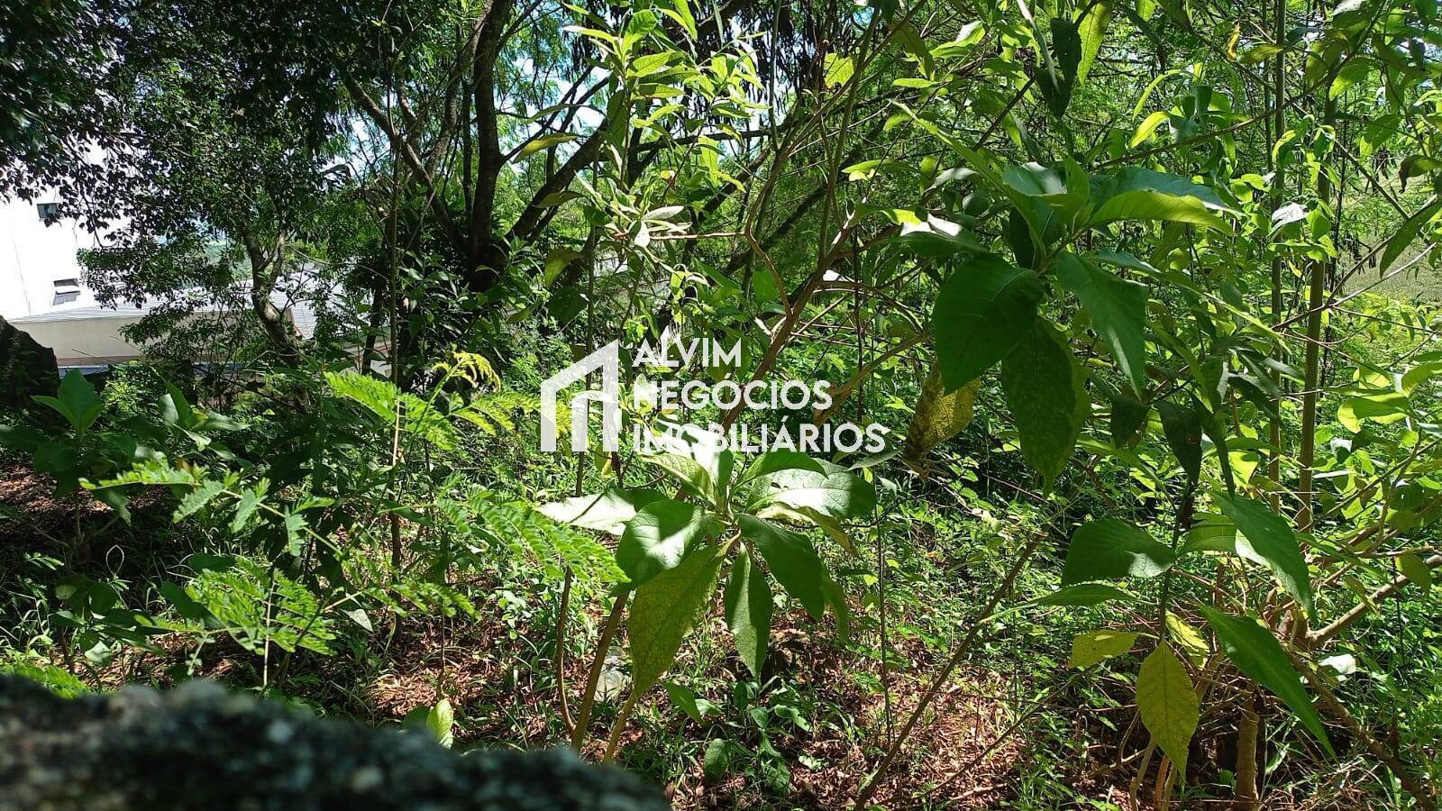 Terreno, 685 m² - Foto 21