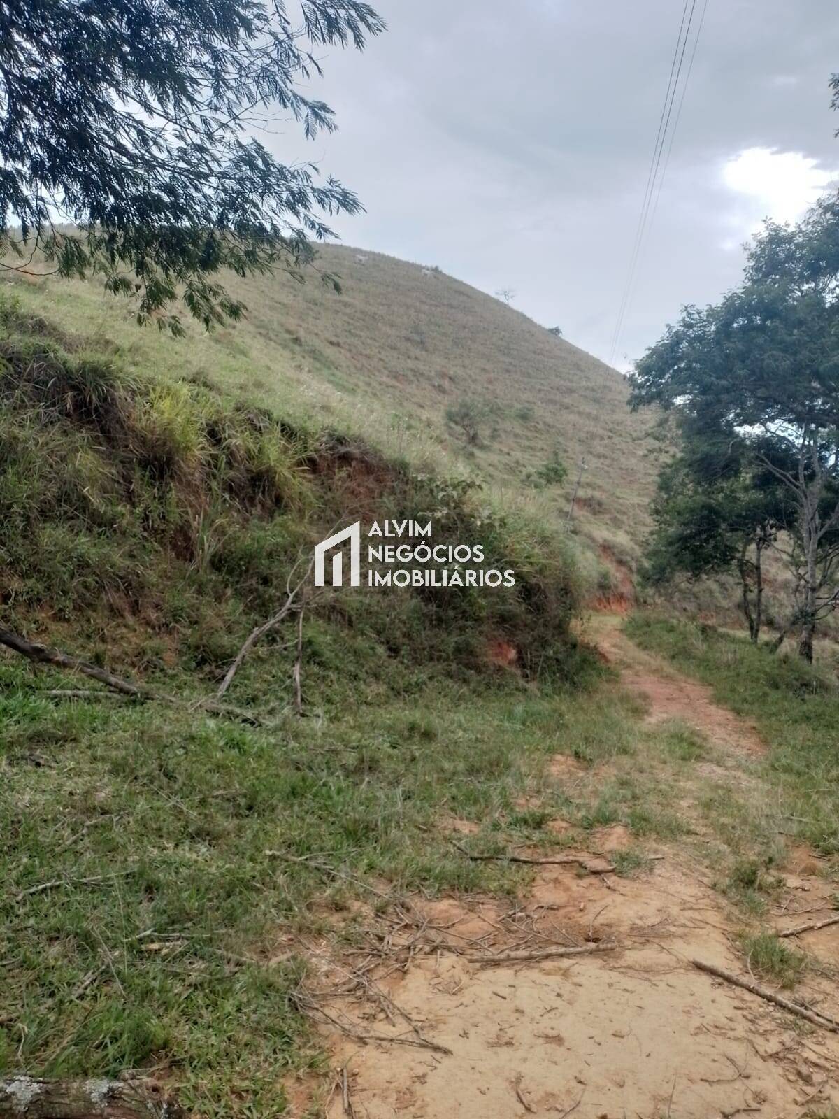 Terreno, 60 hectares - Foto 4