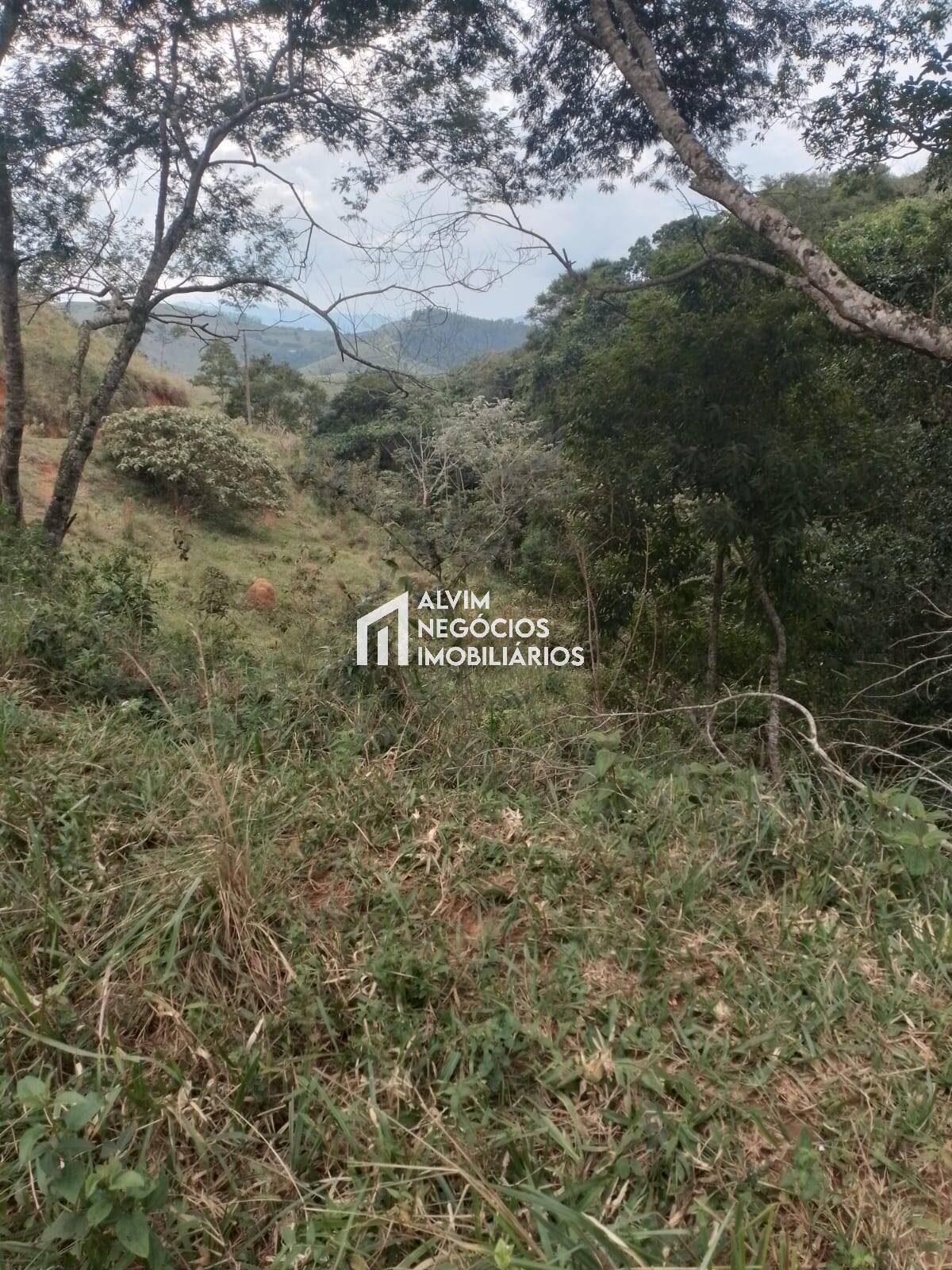 Terreno, 60 hectares - Foto 9