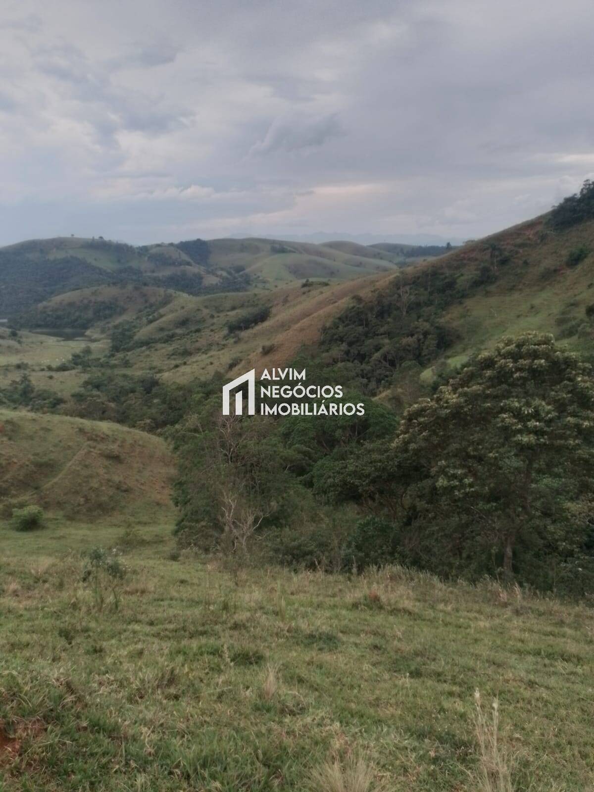 Terreno, 60 hectares - Foto 7