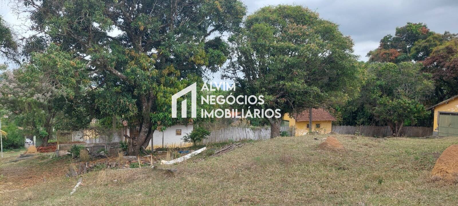 Terreno, 7 hectares - Foto 7