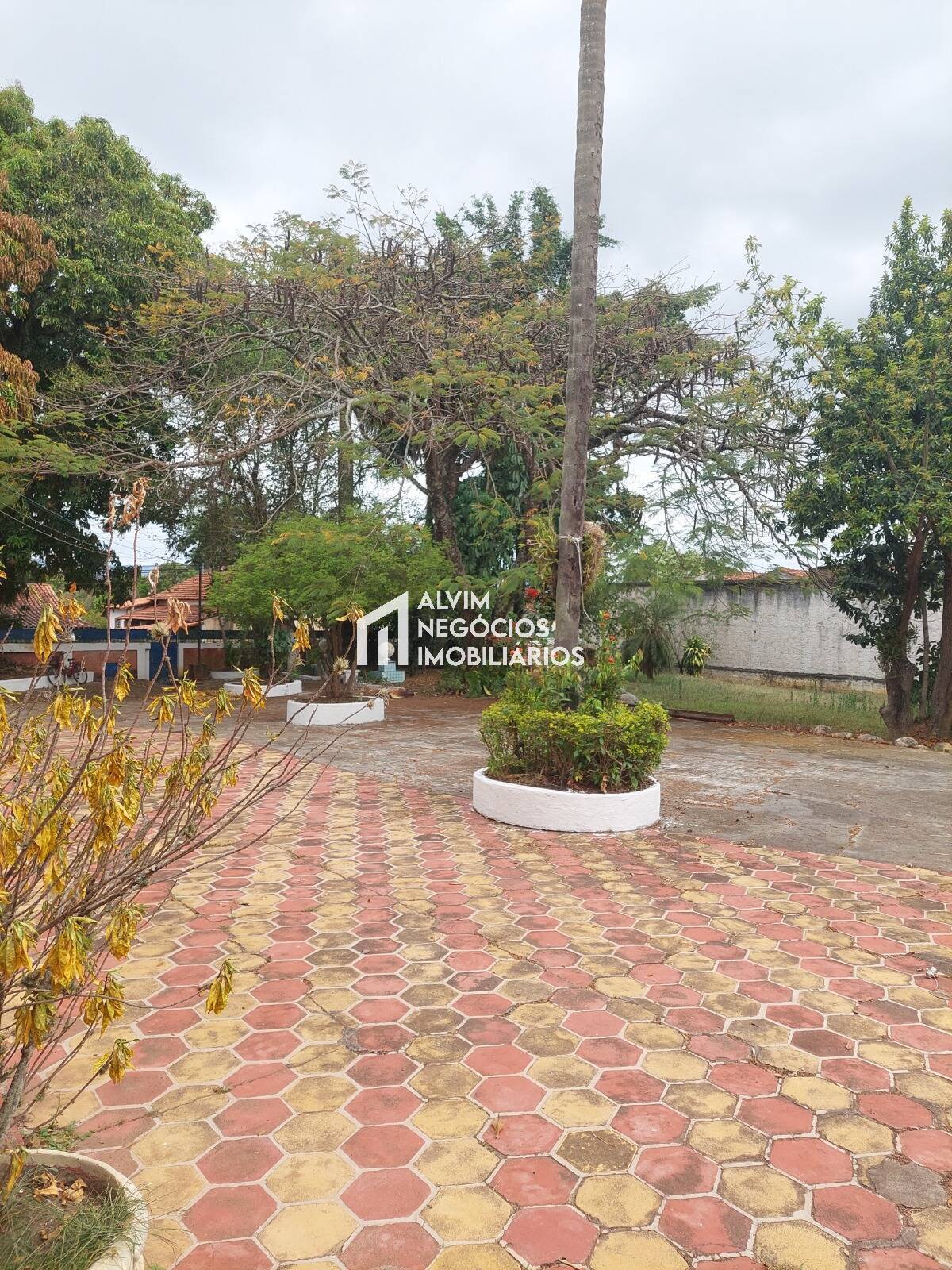 Terreno, 7 hectares - Foto 10