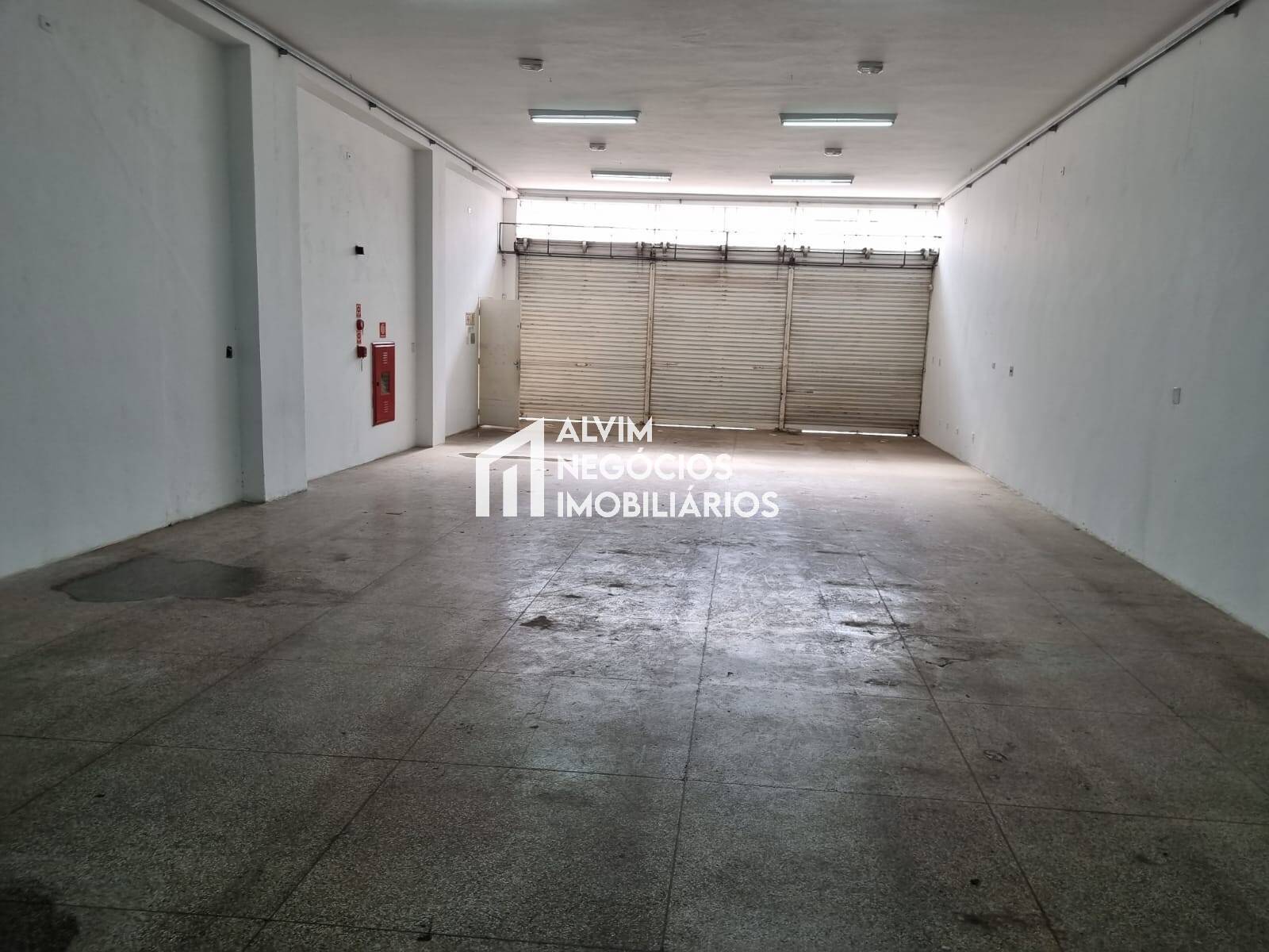 Loja-Salão, 342 m² - Foto 3