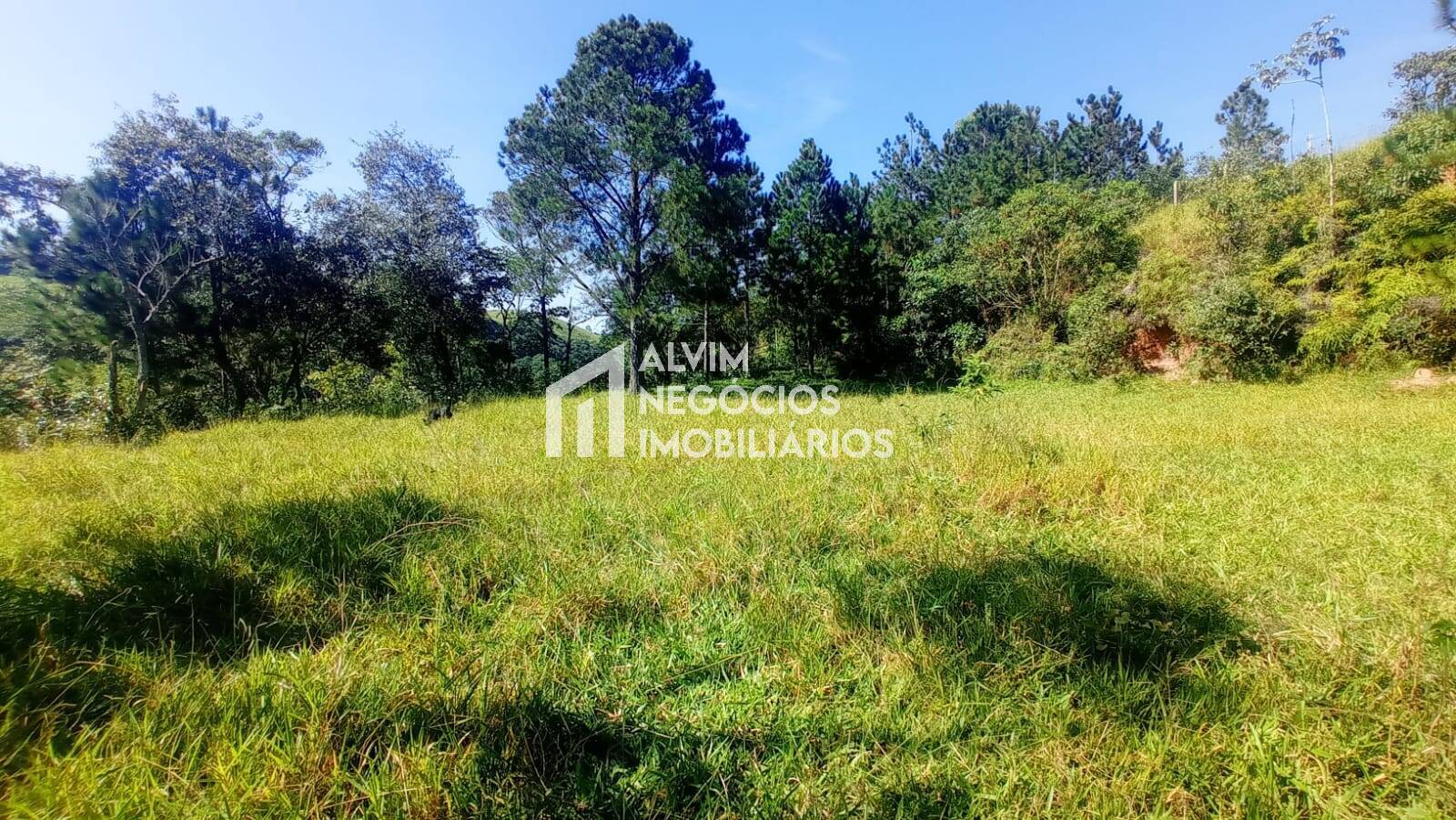 Terreno à venda, 300m² - Foto 68