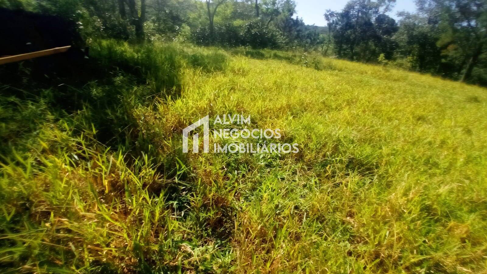 Terreno à venda, 300m² - Foto 76