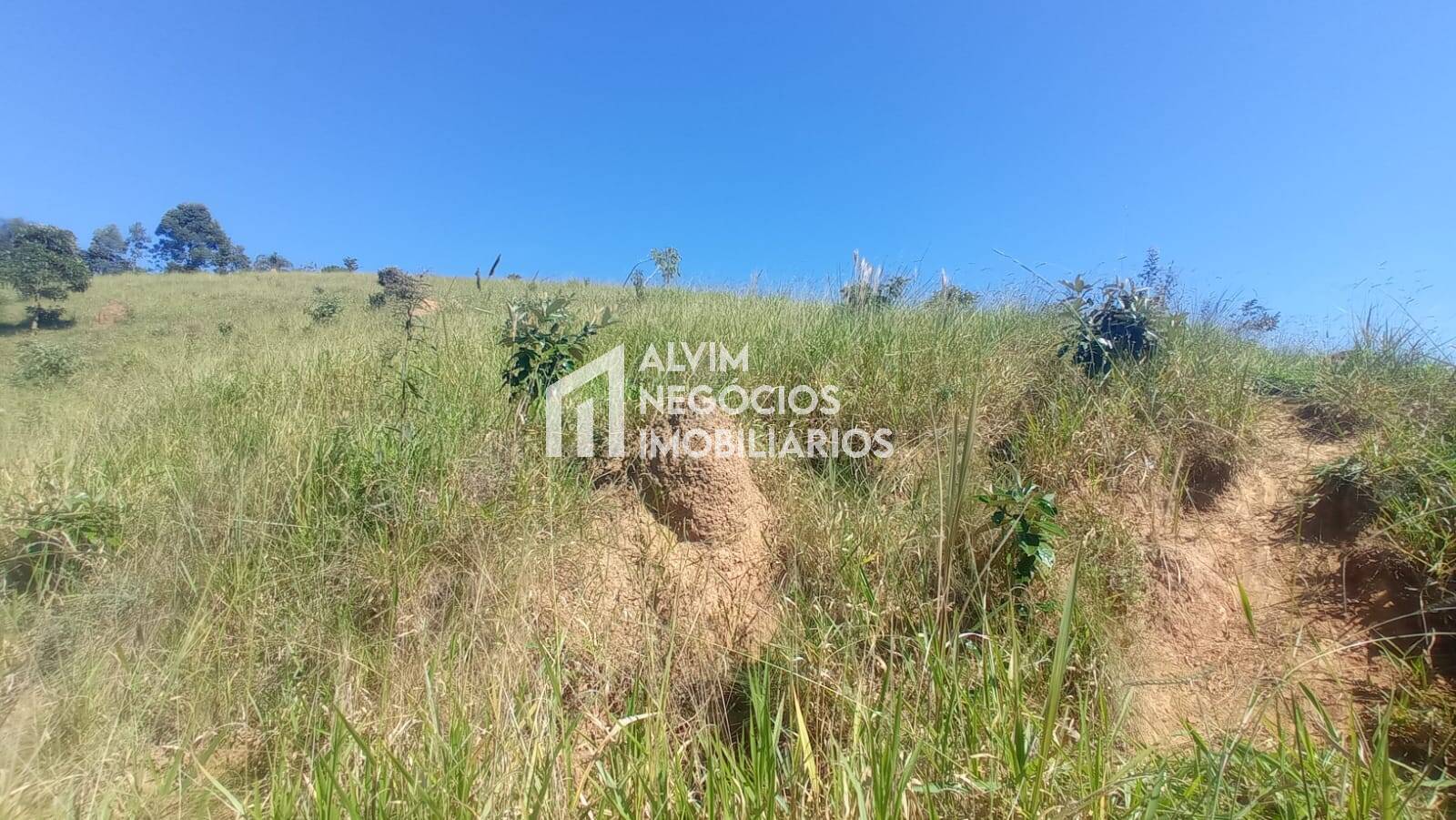 Terreno à venda, 300m² - Foto 100
