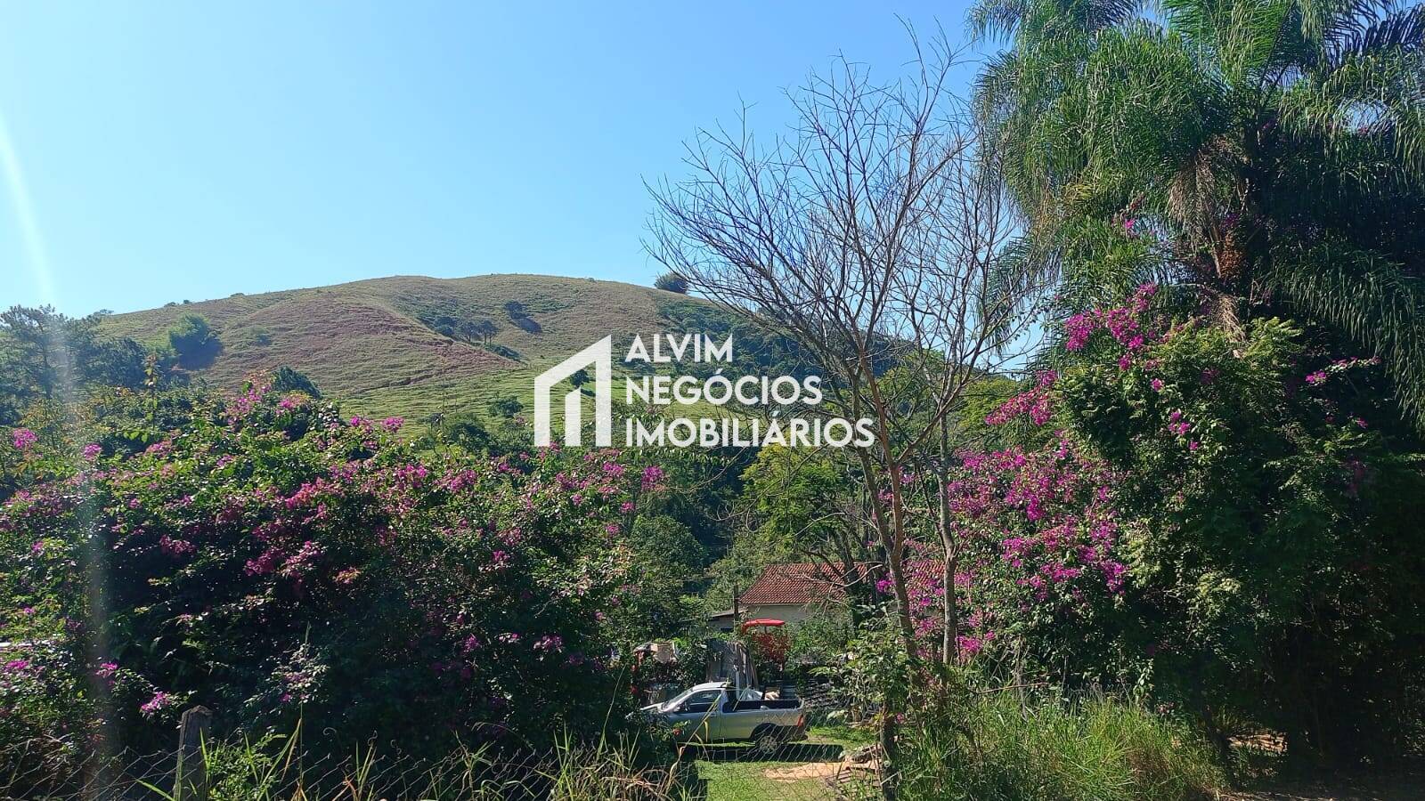 Terreno, 5 hectares - Foto 4