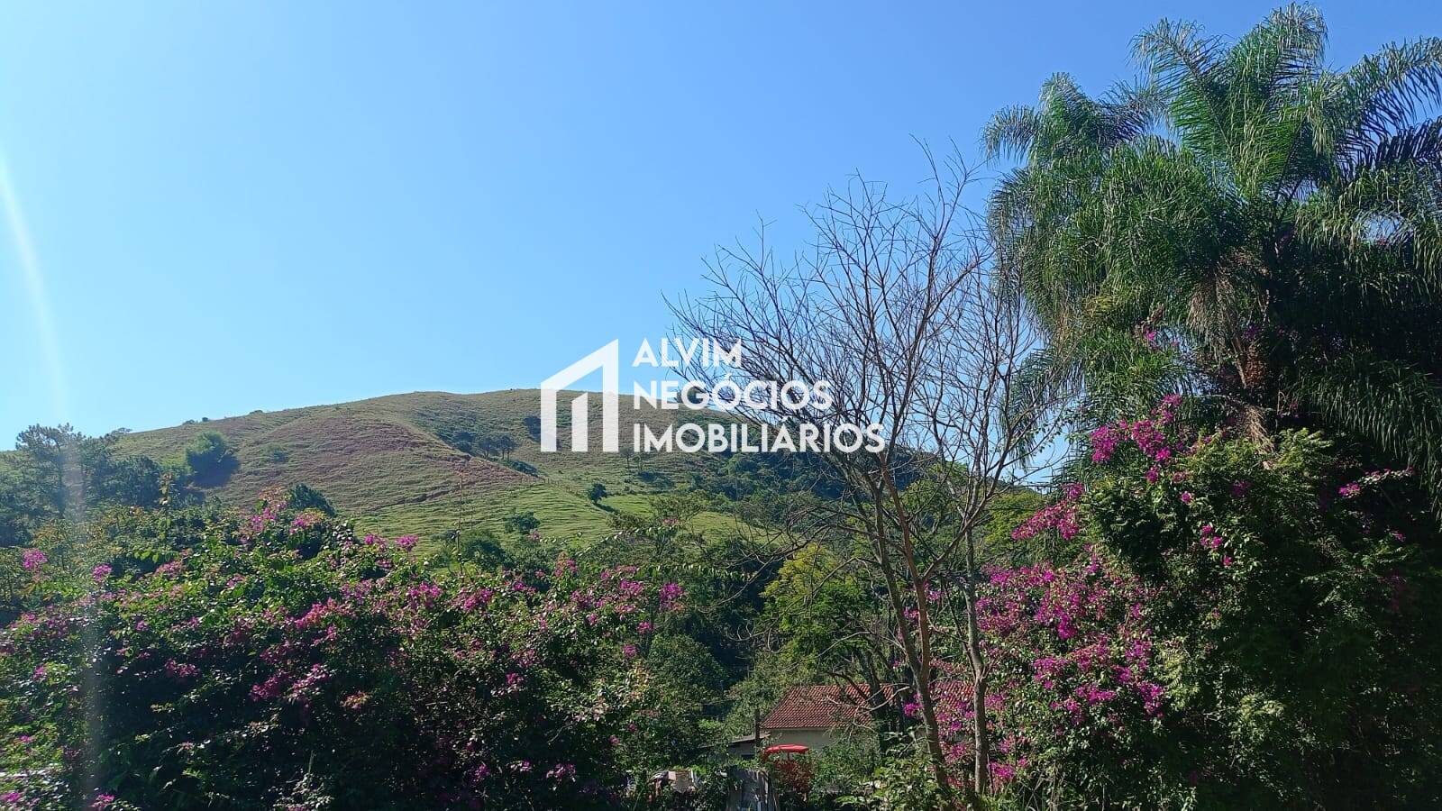 Terreno, 5 hectares - Foto 3