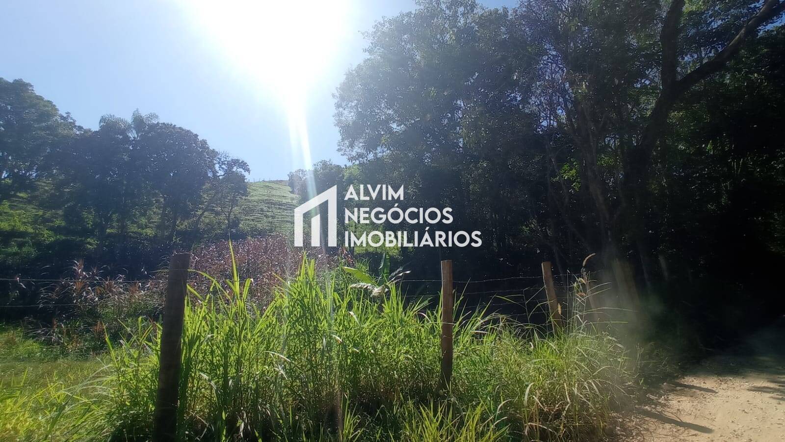 Terreno, 5 hectares - Foto 7