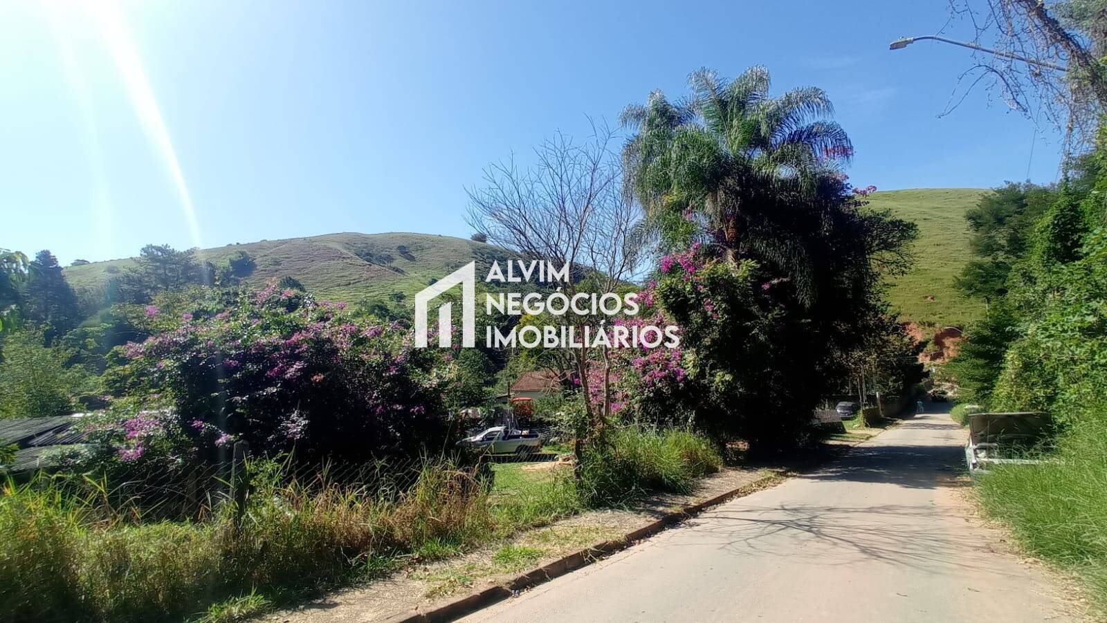 Terreno, 5 hectares - Foto 5