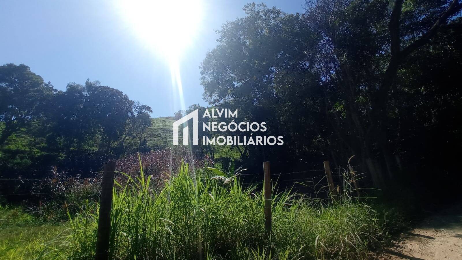 Terreno, 5 hectares - Foto 6