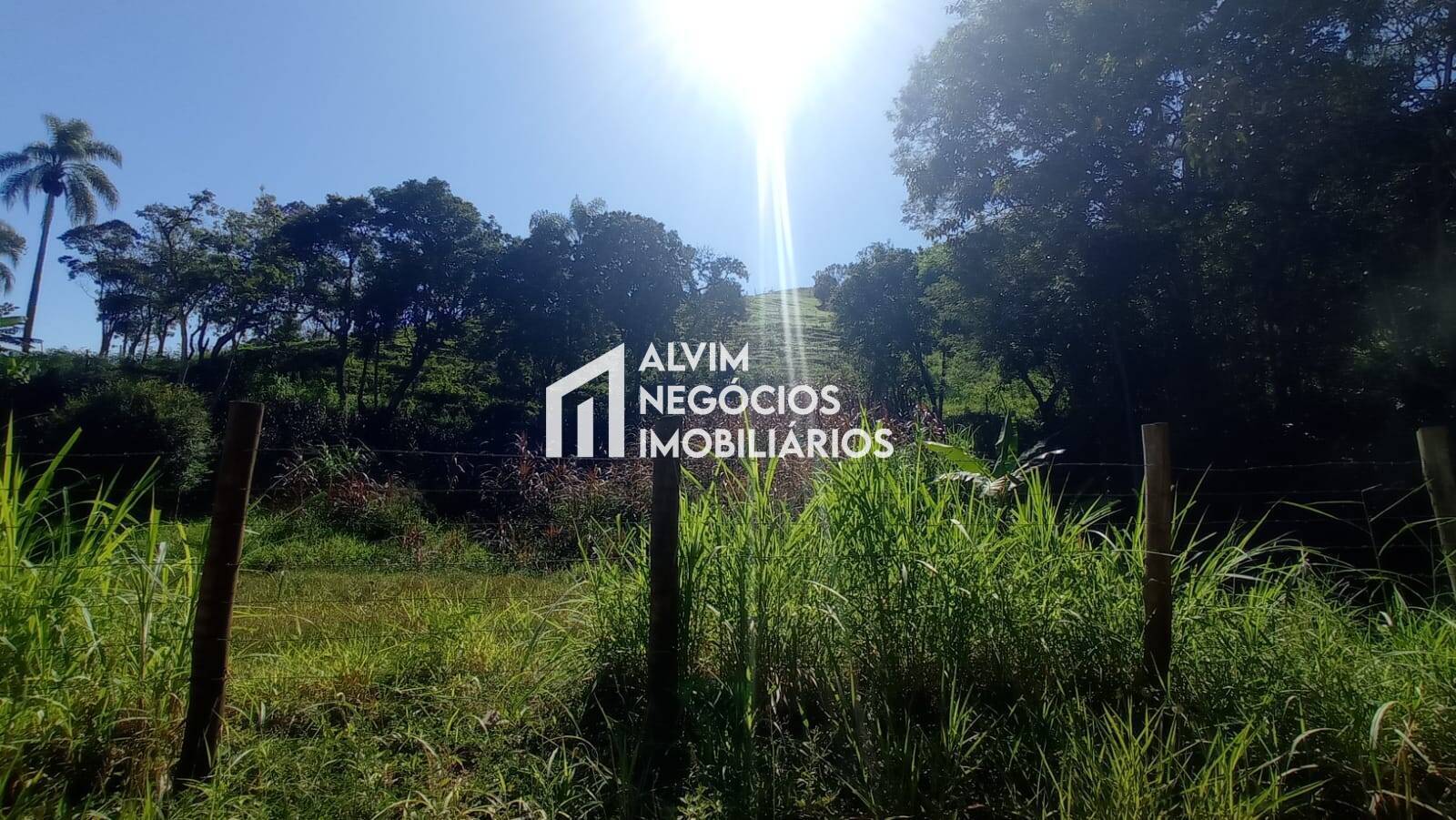 Terreno, 5 hectares - Foto 8