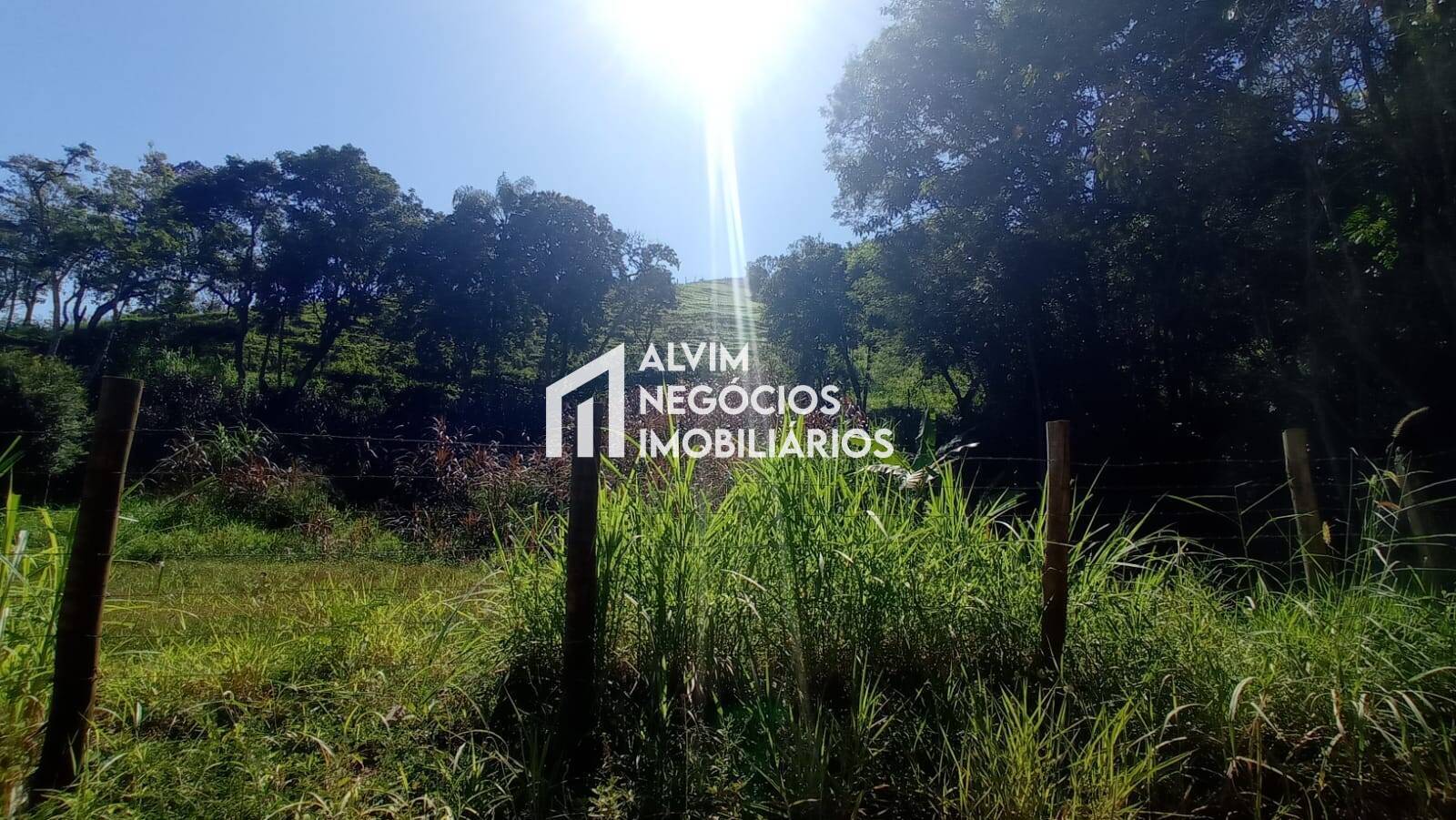 Terreno, 5 hectares - Foto 9