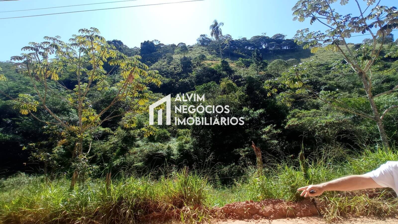 Terreno, 5 hectares - Foto 10