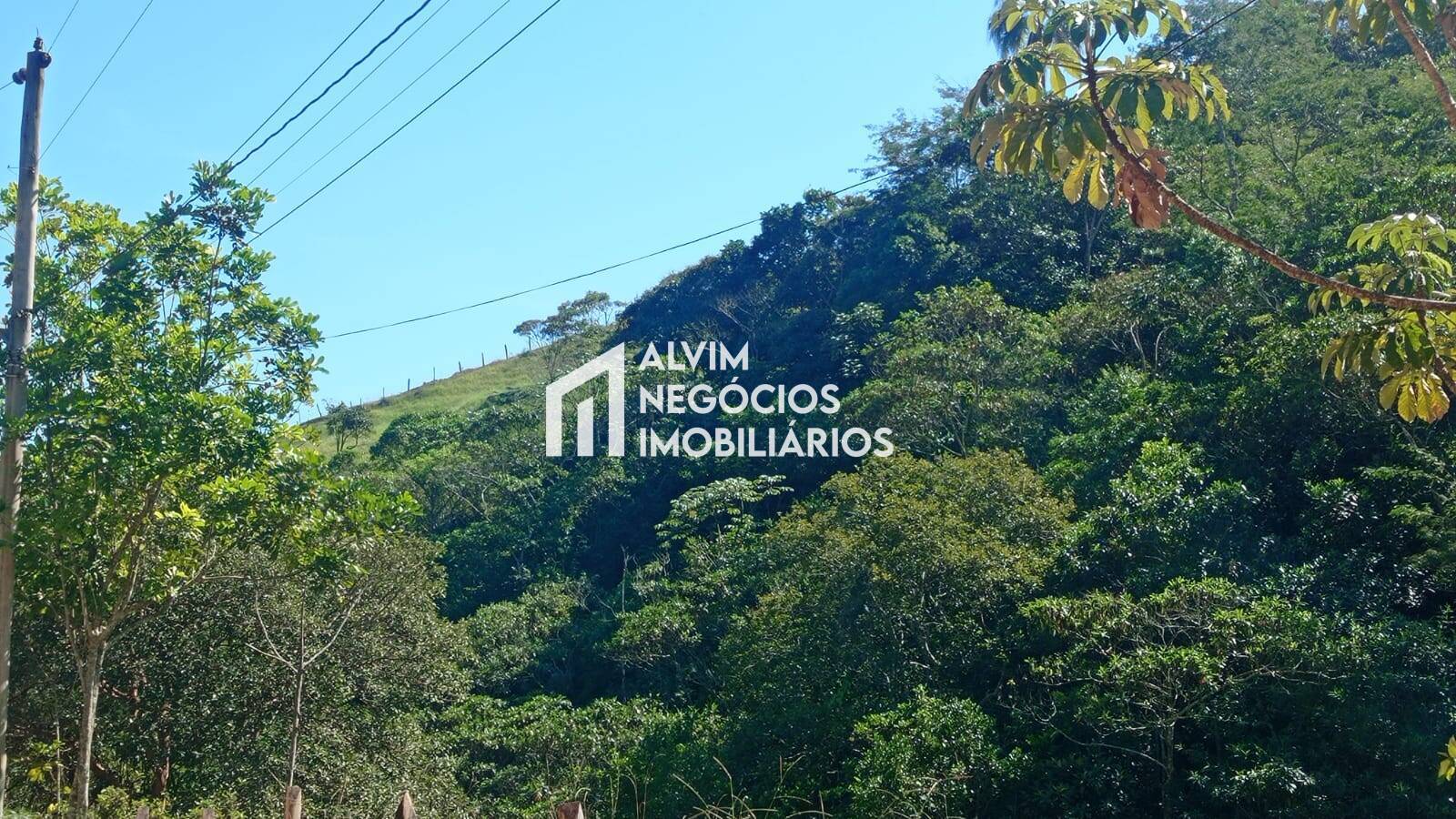 Terreno, 5 hectares - Foto 13