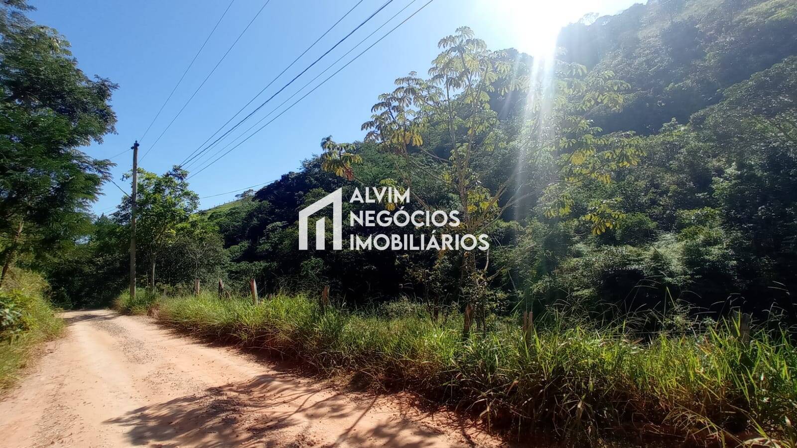 Terreno, 5 hectares - Foto 12