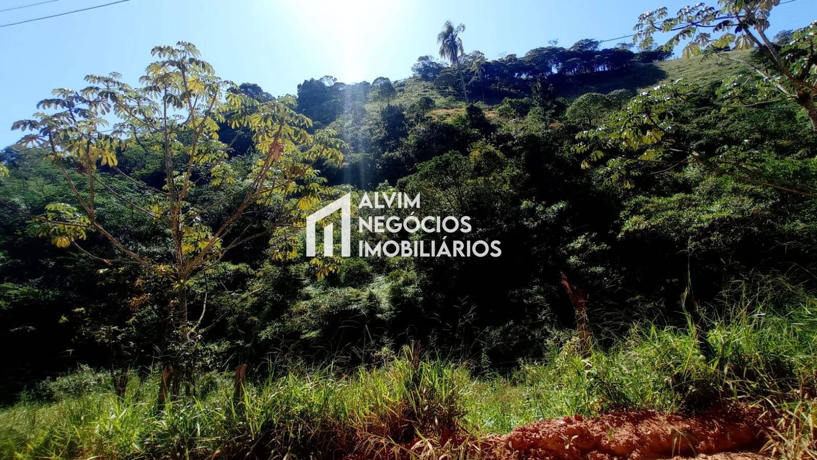 Terreno, 5 hectares - Foto 11