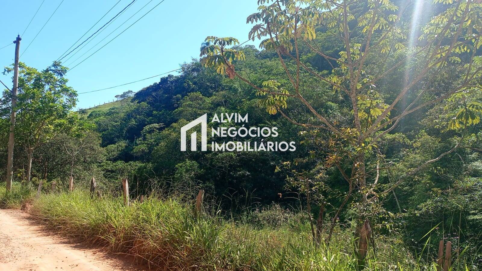 Terreno, 5 hectares - Foto 14