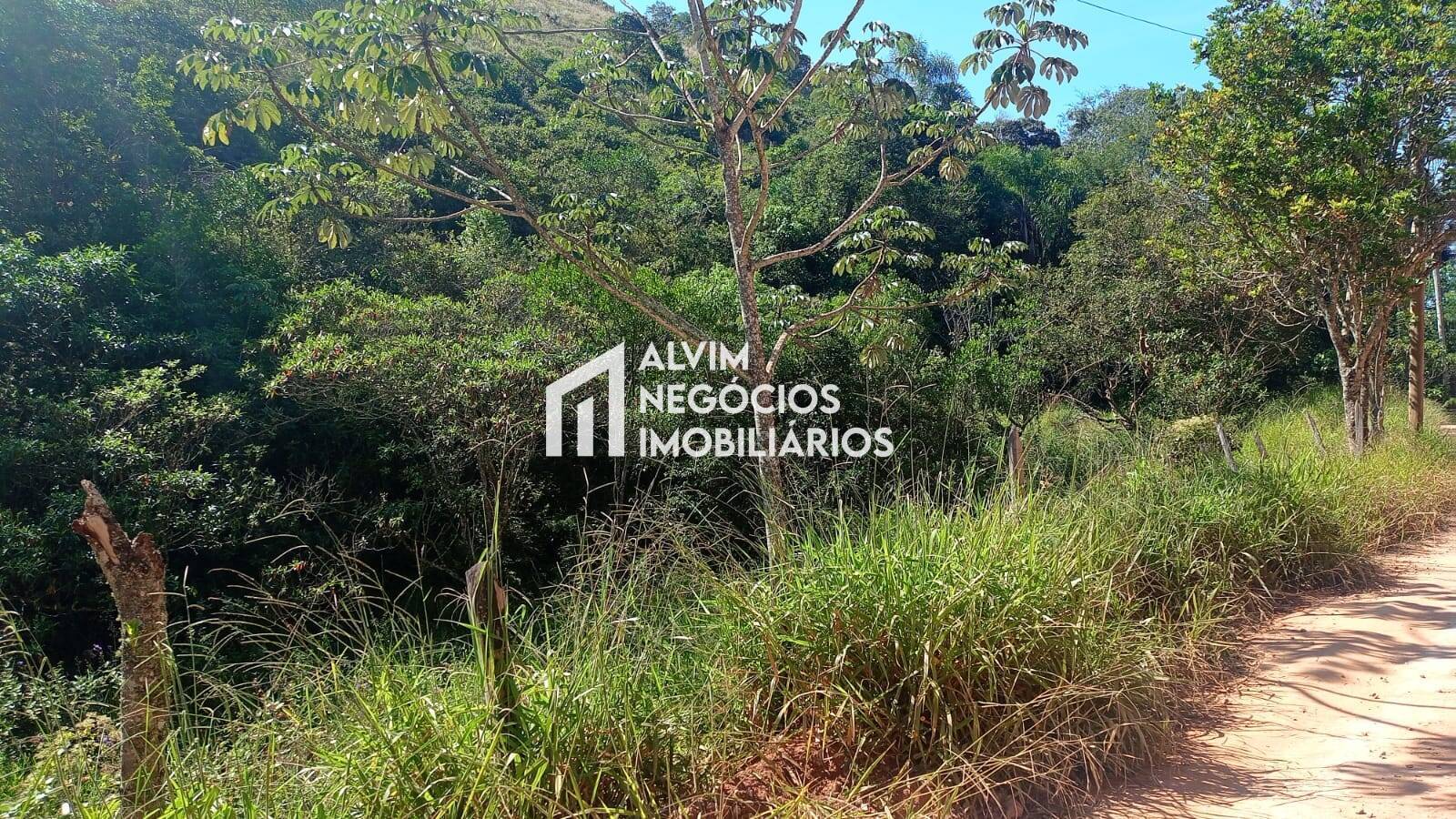 Terreno, 5 hectares - Foto 15