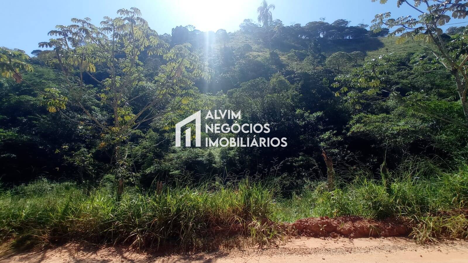 Terreno, 5 hectares - Foto 17