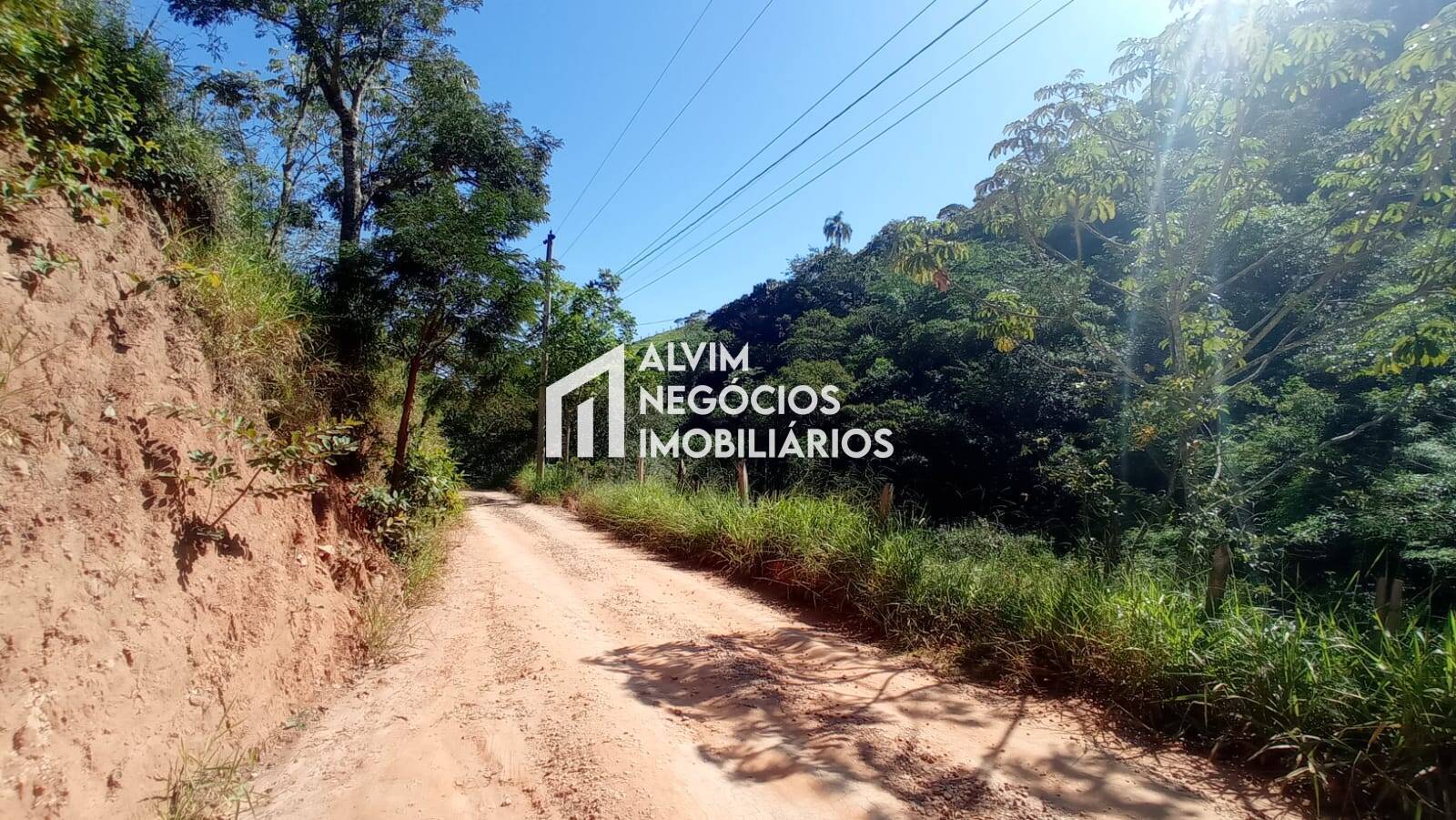 Terreno, 5 hectares - Foto 16