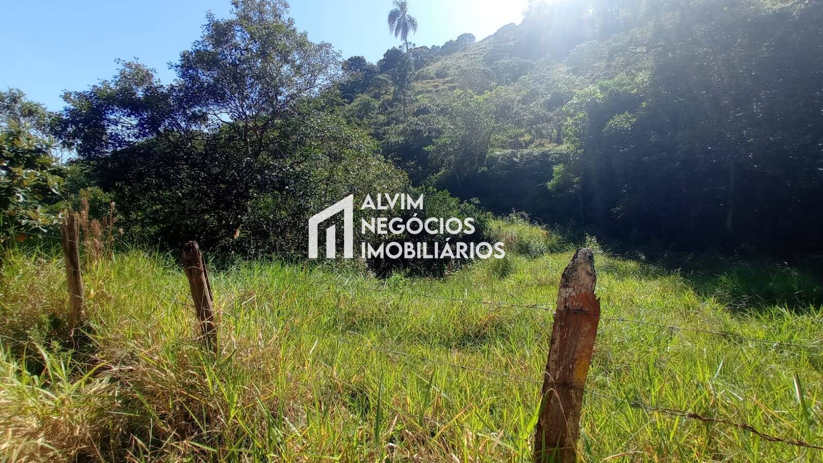 Terreno, 5 hectares - Foto 18