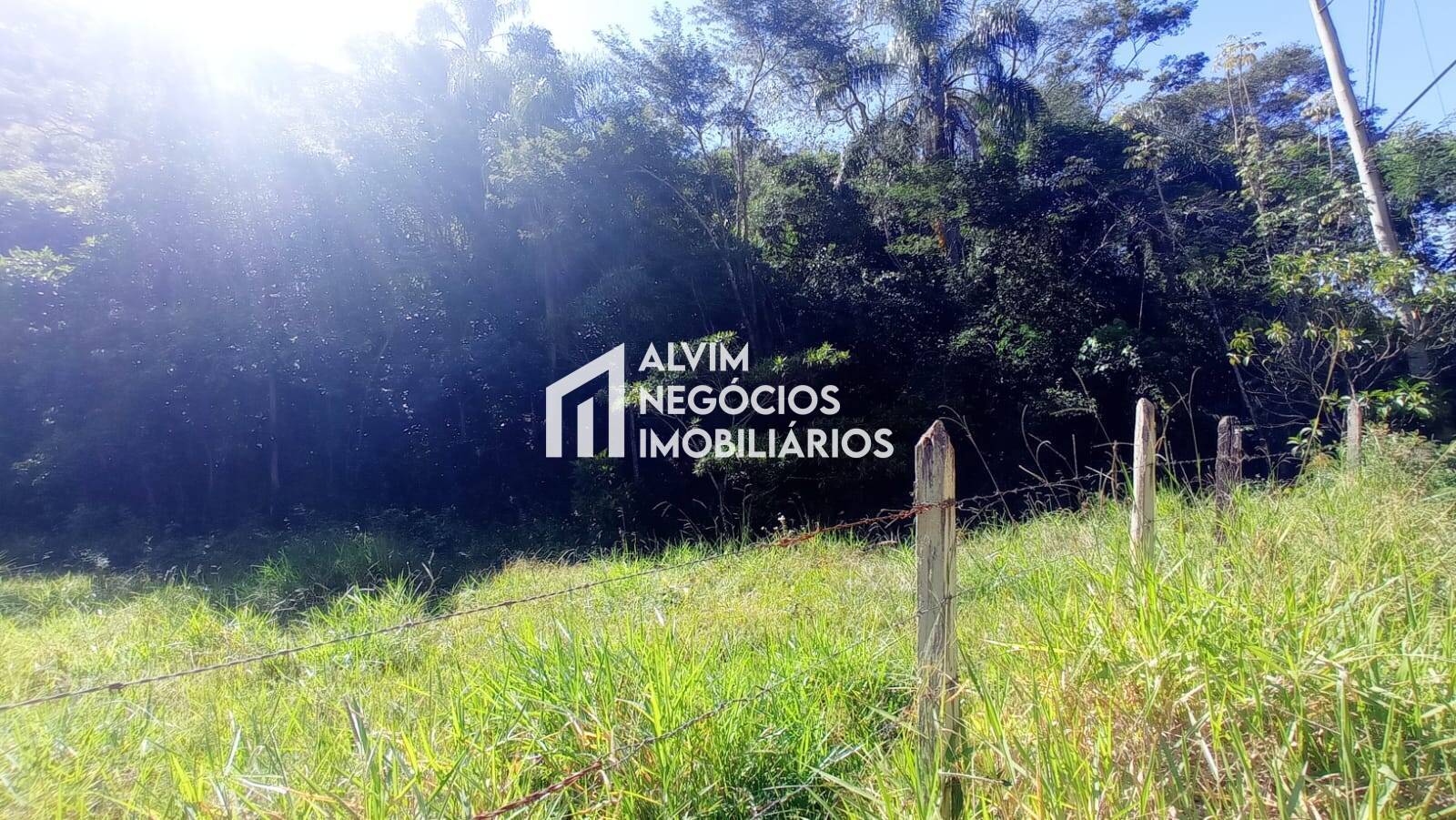 Terreno, 5 hectares - Foto 19