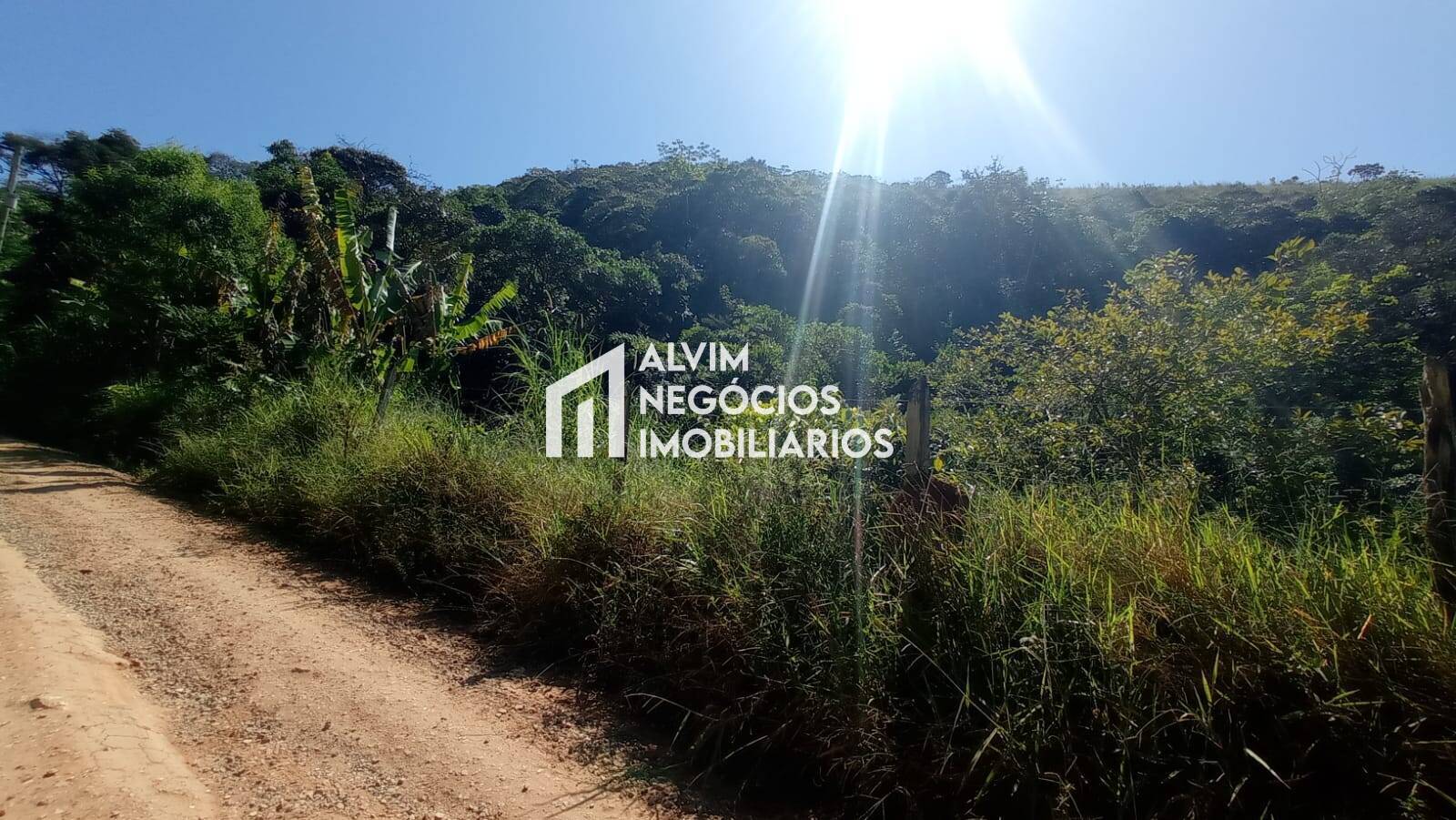 Terreno, 5 hectares - Foto 21