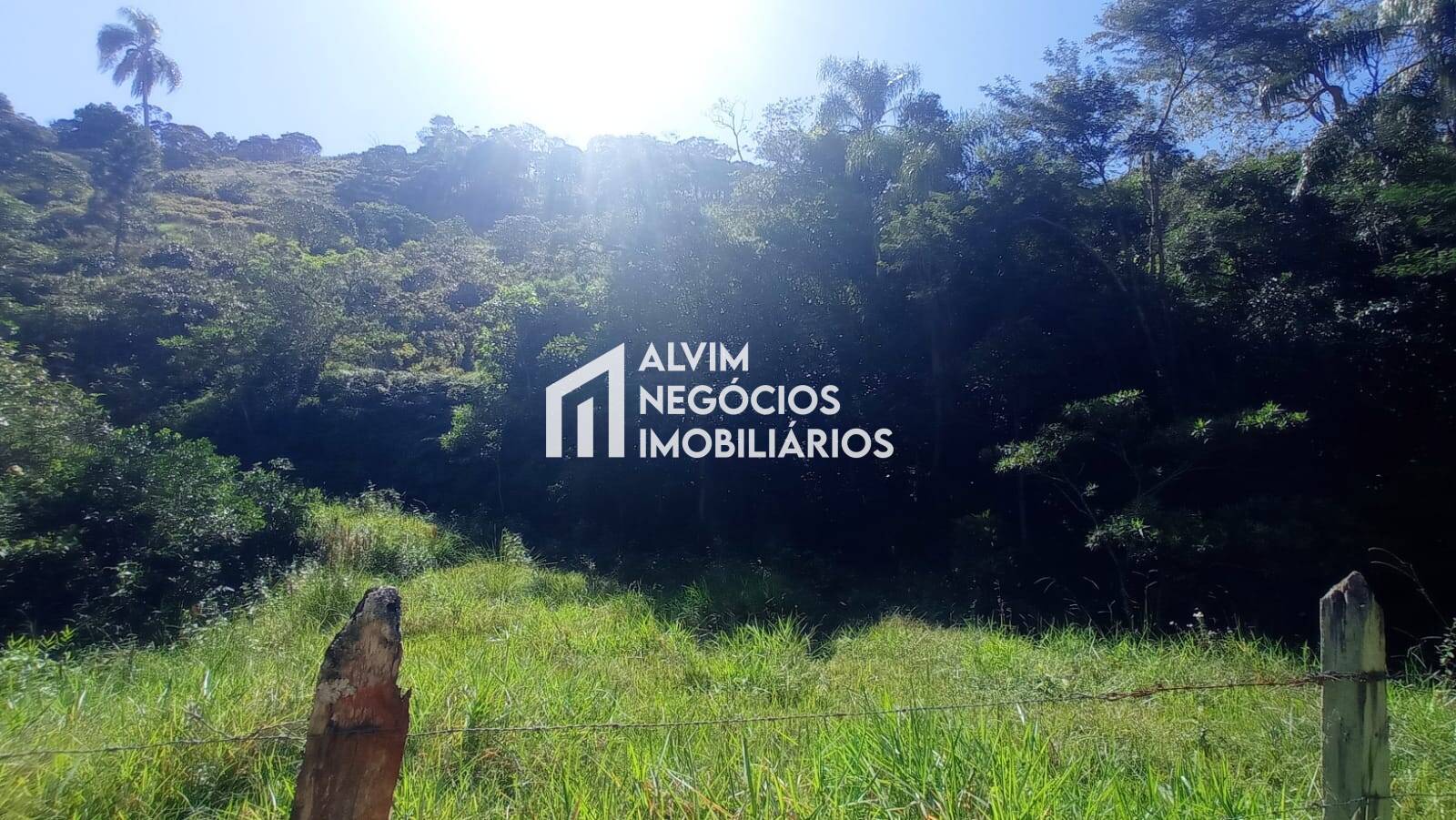 Terreno, 5 hectares - Foto 20