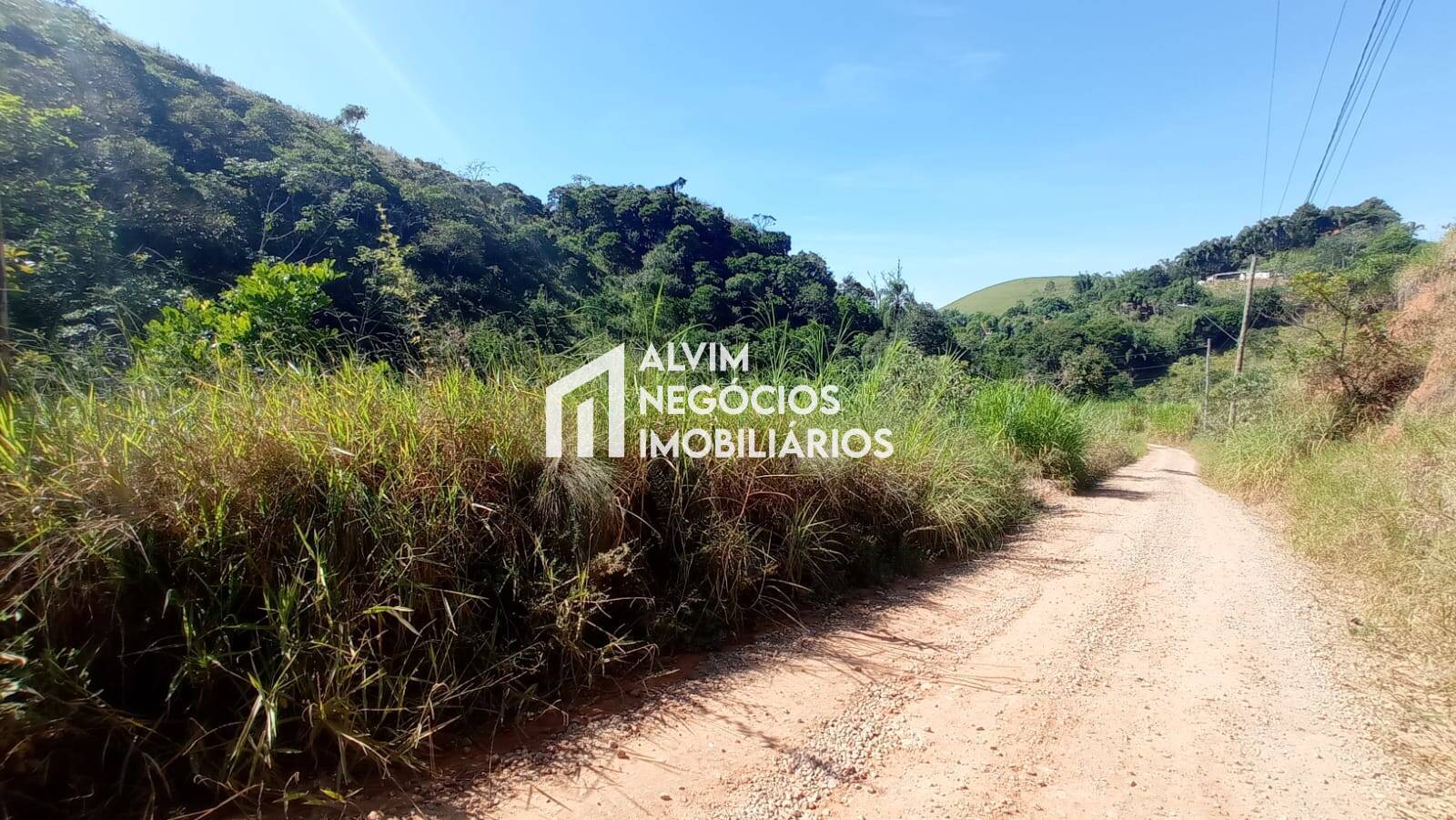 Terreno, 5 hectares - Foto 23