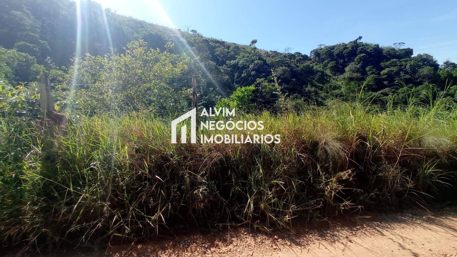 Terreno, 5 hectares - Foto 22