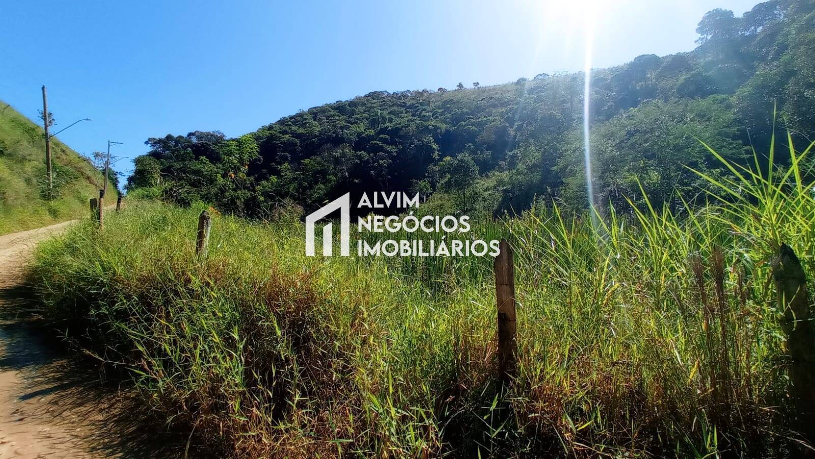 Terreno, 5 hectares - Foto 25