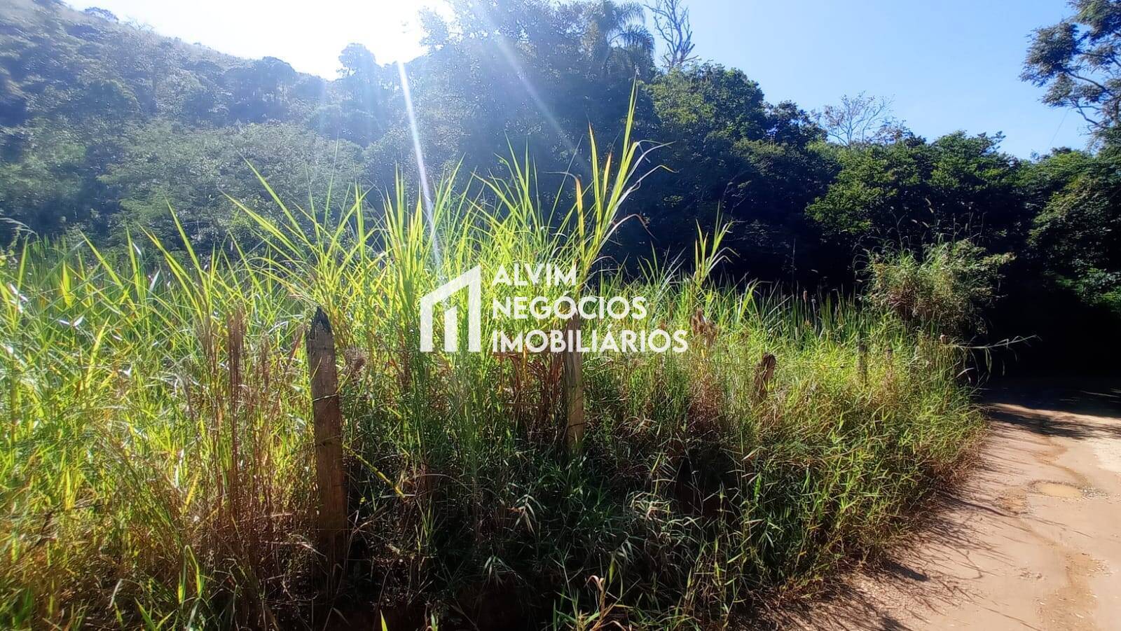 Terreno, 5 hectares - Foto 27