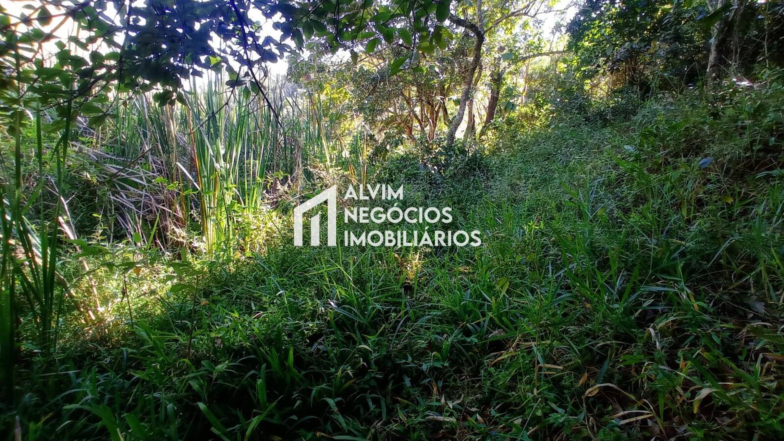 Terreno, 5 hectares - Foto 28