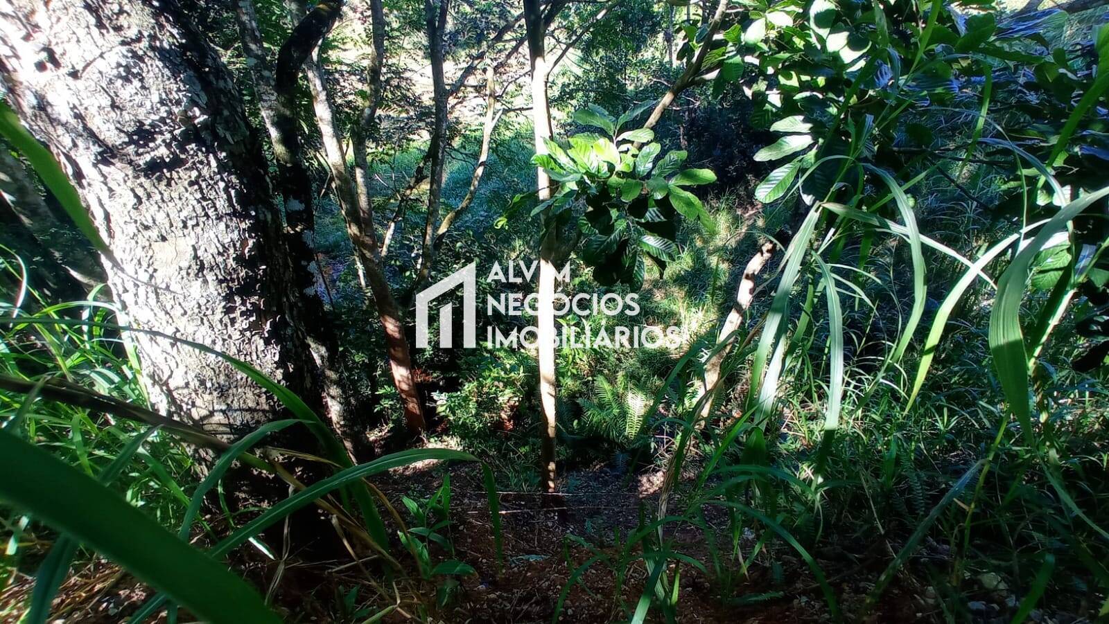 Terreno, 5 hectares - Foto 29