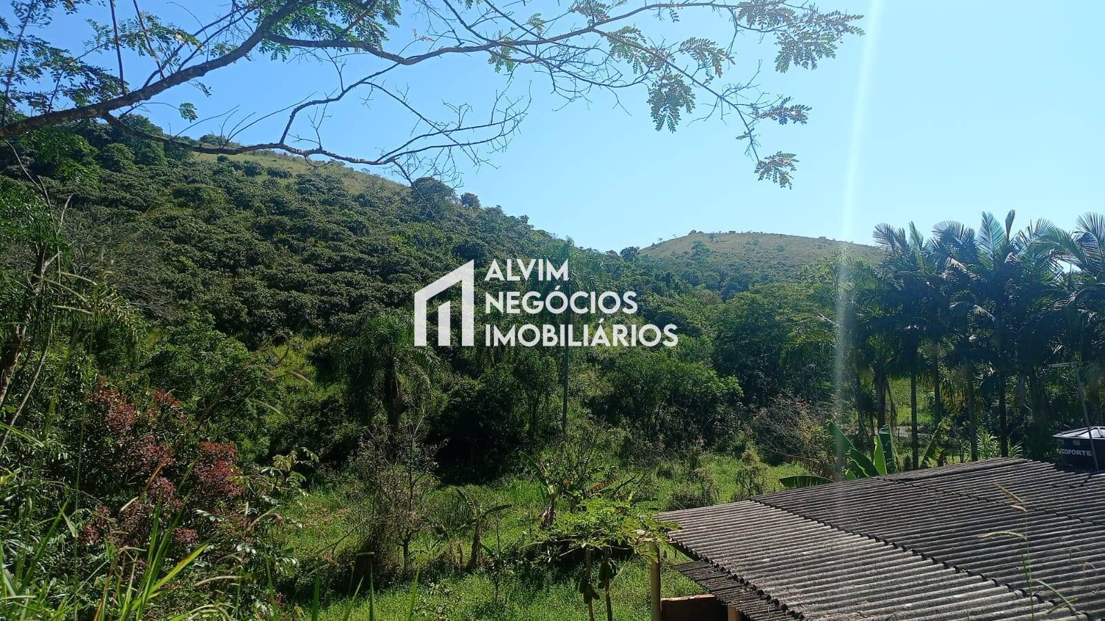 Terreno, 5 hectares - Foto 31