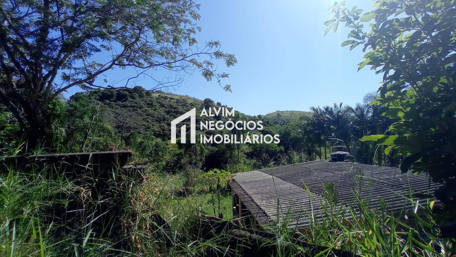 Terreno, 5 hectares - Foto 33