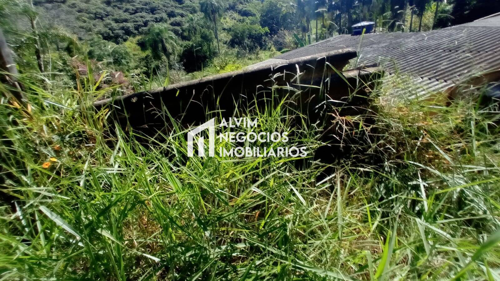 Terreno, 5 hectares - Foto 32