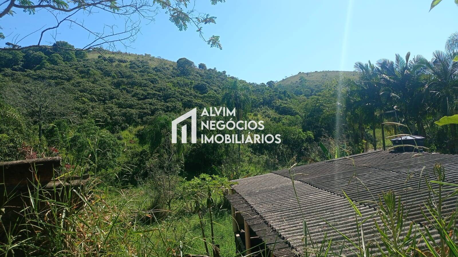 Terreno, 5 hectares - Foto 34