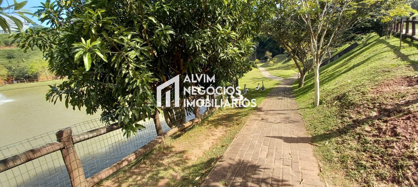 Terreno, 1050 m² - Foto 14