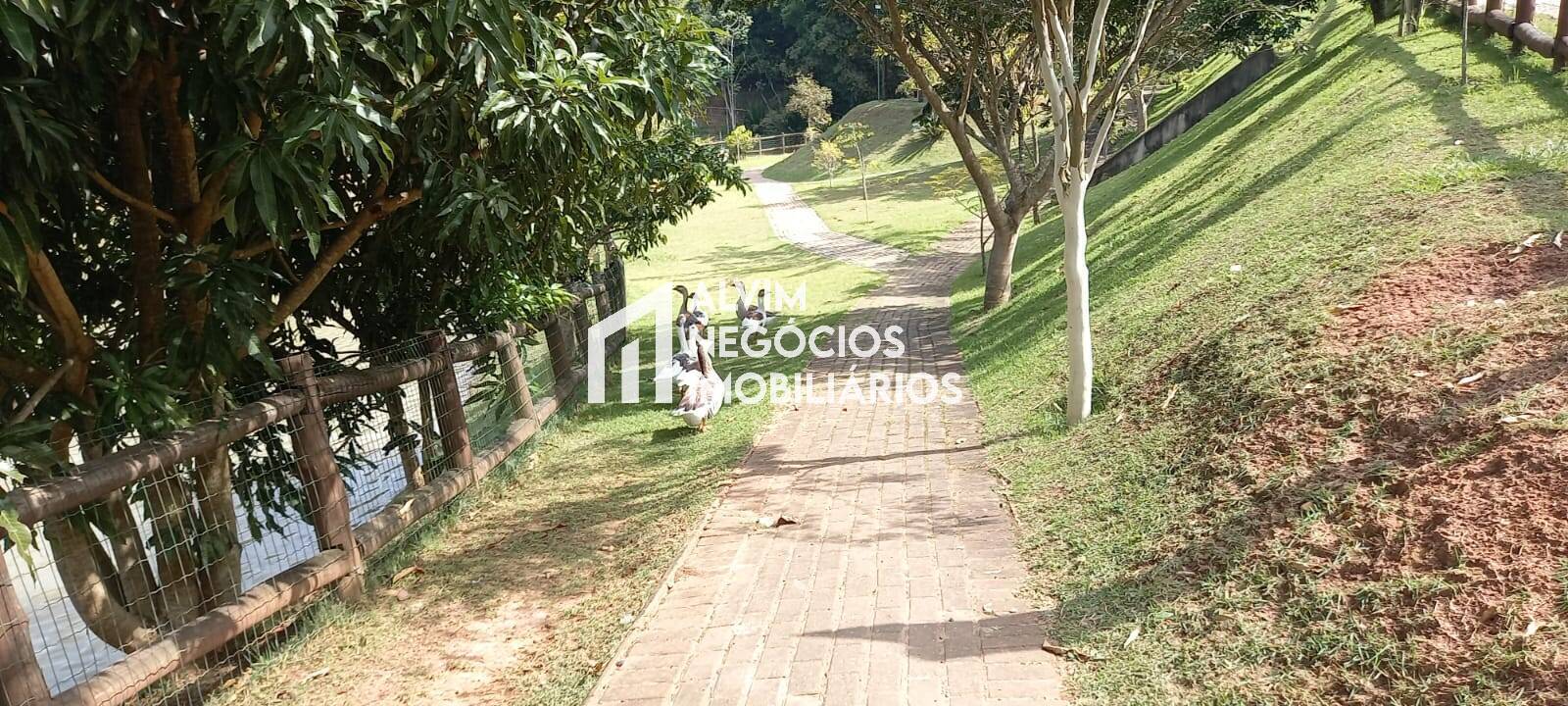 Terreno, 1050 m² - Foto 15