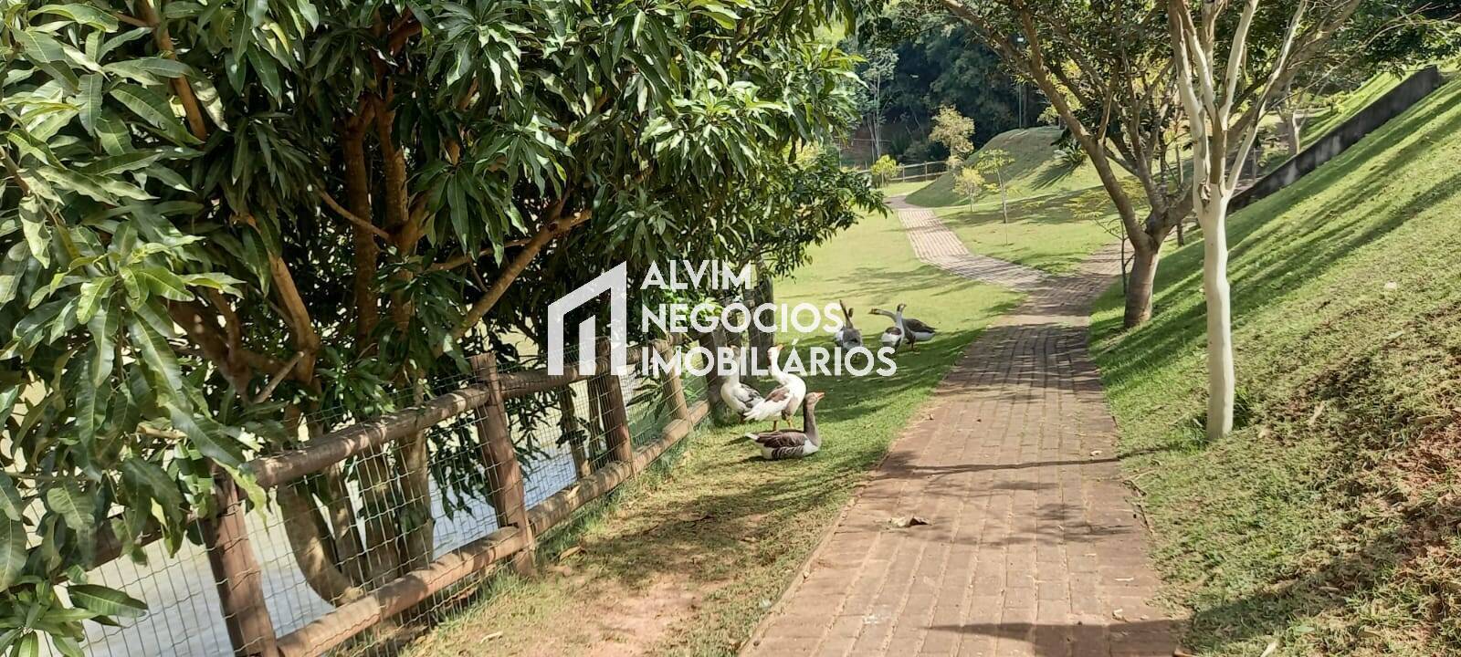 Terreno, 1380 m² - Foto 26