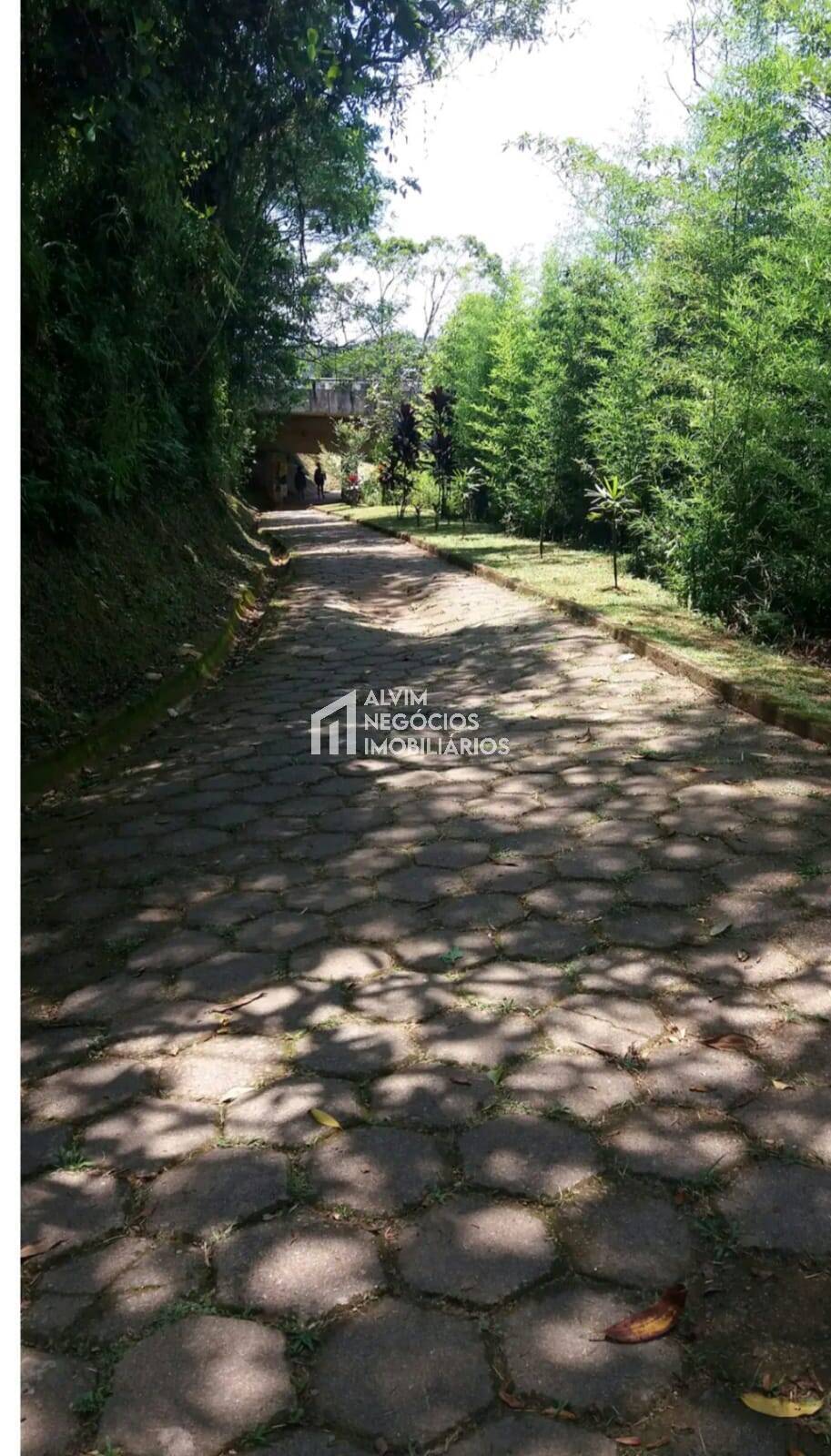 Terreno à venda, 402m² - Foto 7