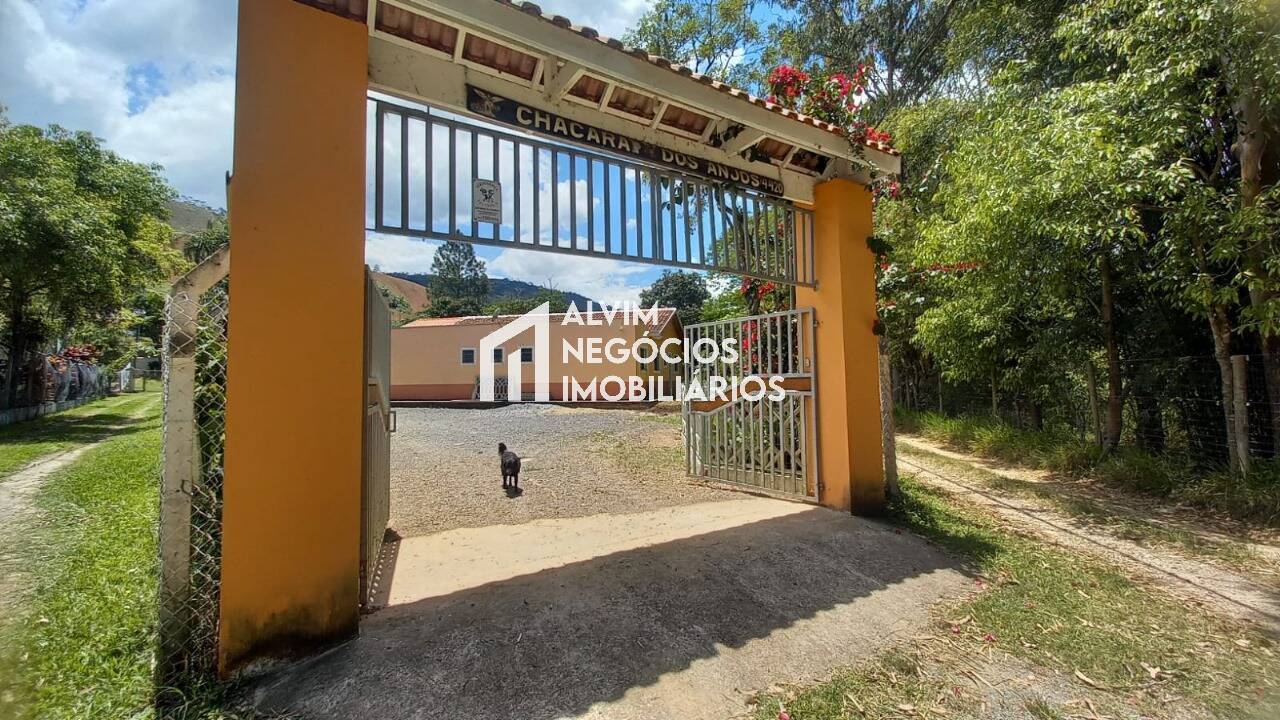 Chácara, 4 quartos, 5000 m² - Foto 10