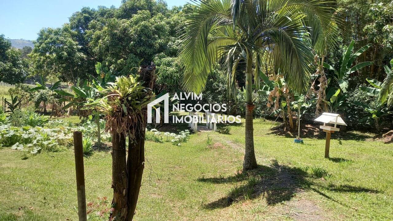 Chácara, 4 quartos, 5000 m² - Foto 17