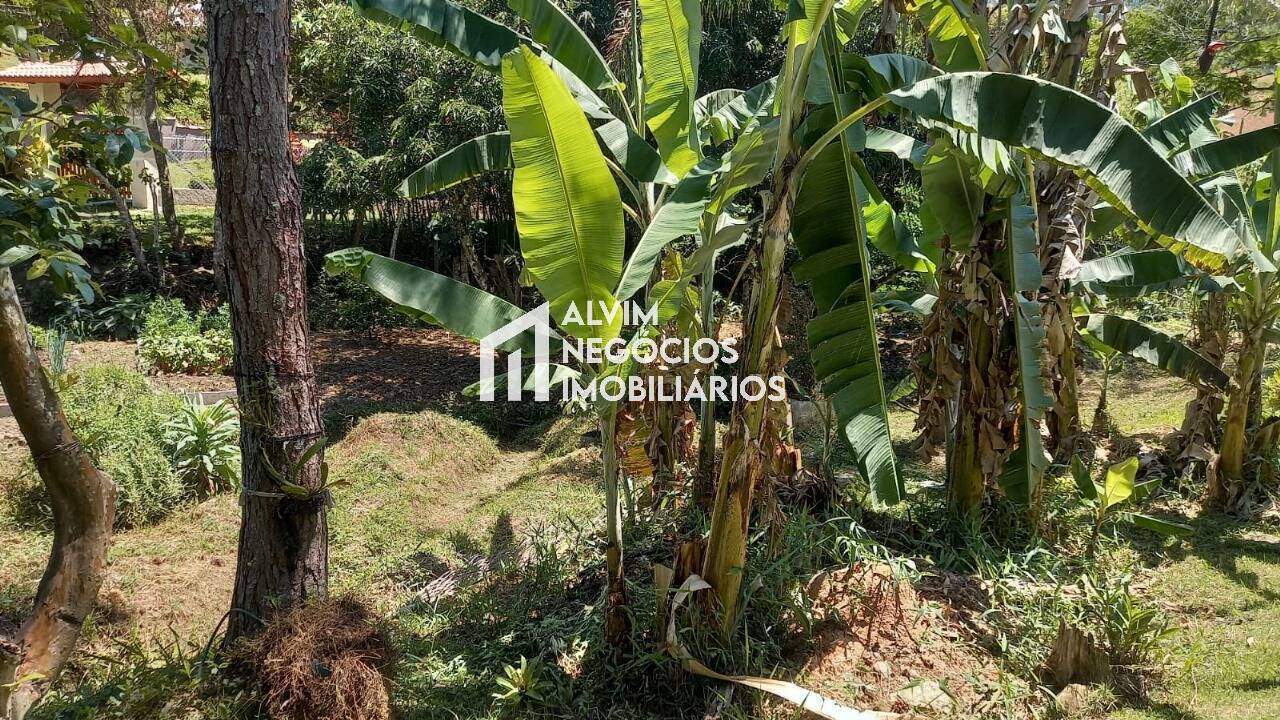 Chácara, 4 quartos, 5000 m² - Foto 20