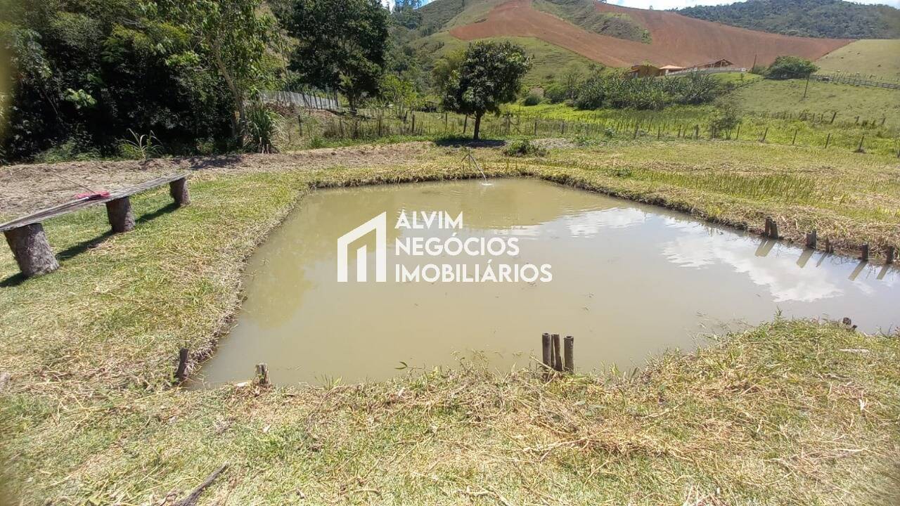 Chácara, 4 quartos, 5000 m² - Foto 21